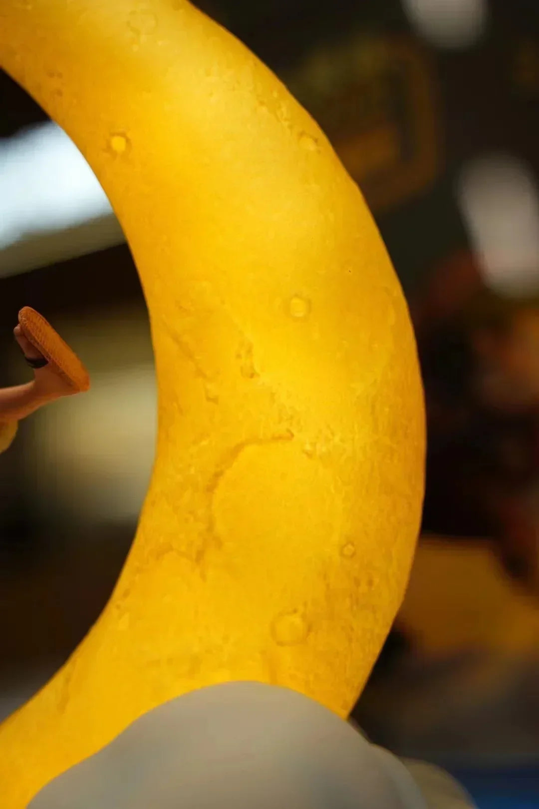 Lâmpada Lunar do Chapéu de Palha, Luffy